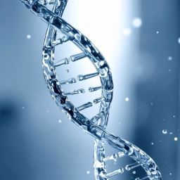 NAD+ and NMN Research Overview